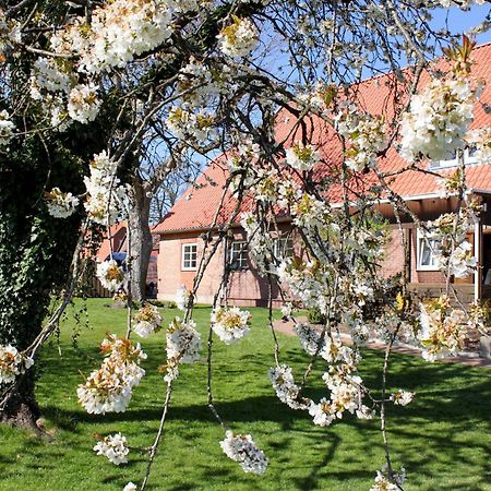 Ferienwohnung Gartenblick - A19374 Suderburg エクステリア 写真