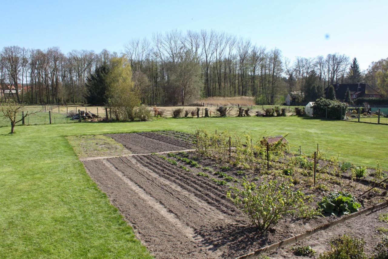 Ferienwohnung Gartenblick - A19374 Suderburg エクステリア 写真