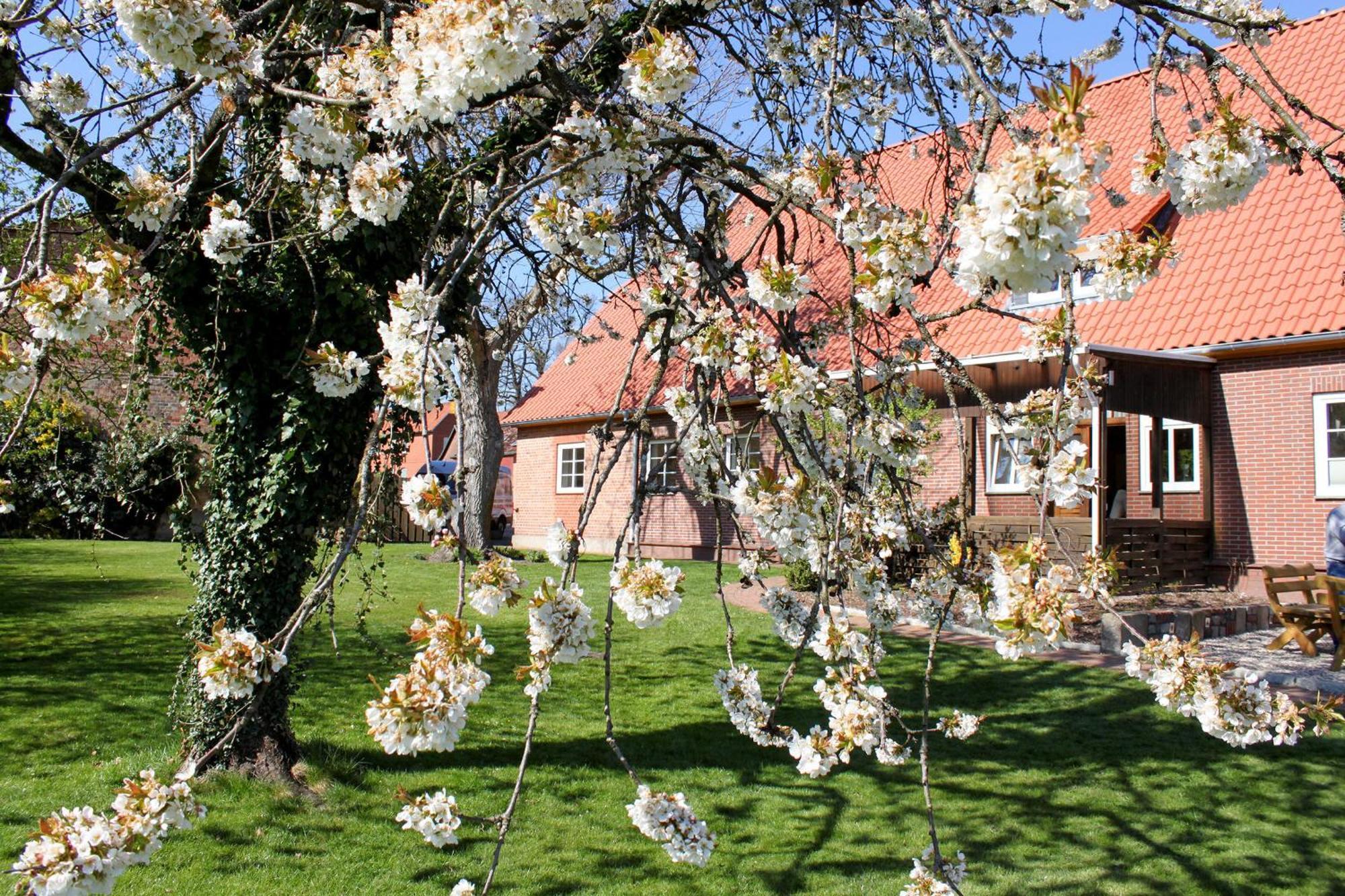 Ferienwohnung Gartenblick - A19374 Suderburg エクステリア 写真